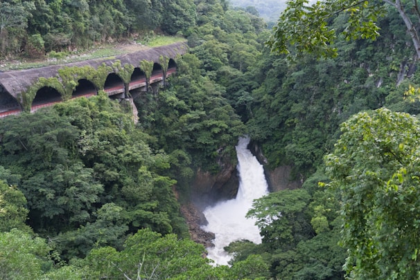 A lush green forest surrounds a cascading waterfall flowing down a rocky cliff. Next to it, a man-made tunnel is partially covered in vegetation, highlighting a blend of infrastructure and nature.