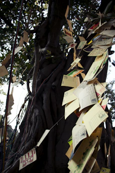 An old, weathered family tree chart with handwritten notes and faded photographs pinned around it.