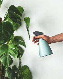 Close-up of a family-friendly pest control spray being applied around a home baseboard.