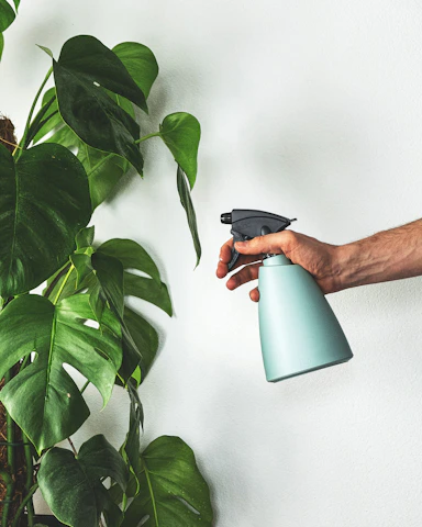 A vibrant green spray bottle surrounded by fresh leaves and natural light.