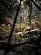 A person wearing colorful clothing works in a lush, green garden surrounded by various plants and bamboo structures. A red cloth hangs on a stick amidst the foliage, and the scene is viewed through a blurred lattice, adding depth and framing to the natural setting.