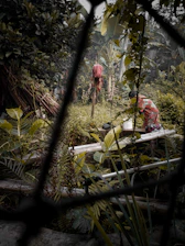 A gardener installing a decorative fence while surrounded by fresh greenery and colorful plants.