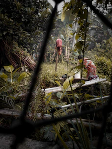 A gardener installing a decorative fence while surrounded by fresh greenery and colorful plants.