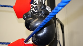 A pair of black boxing gloves is hanging on the blue ropes of a boxing ring. The ropes are lined with red protective padding. The background is a light-colored wall, possibly within a gym.