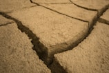 Close-up of cracked, dry earth showing environmental stress in a rural area.