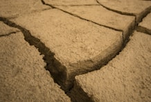 Close-up of cracked, dry earth showing environmental stress in a rural area.