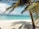A serene beach with clear blue waters and palm trees.