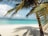 A serene beach with clear blue waters and palm trees.