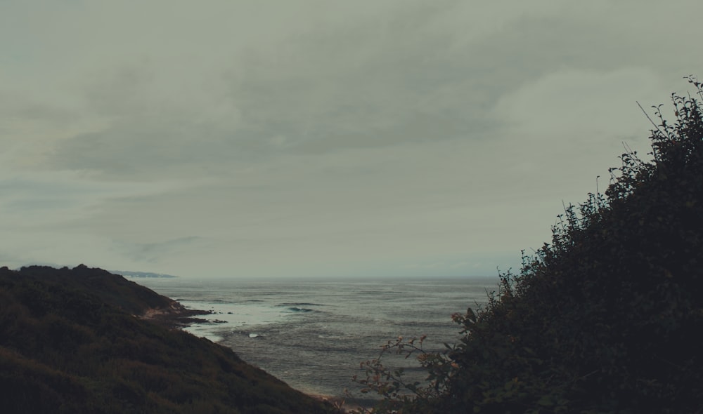 green trees near body of water under cloudy sky during daytime