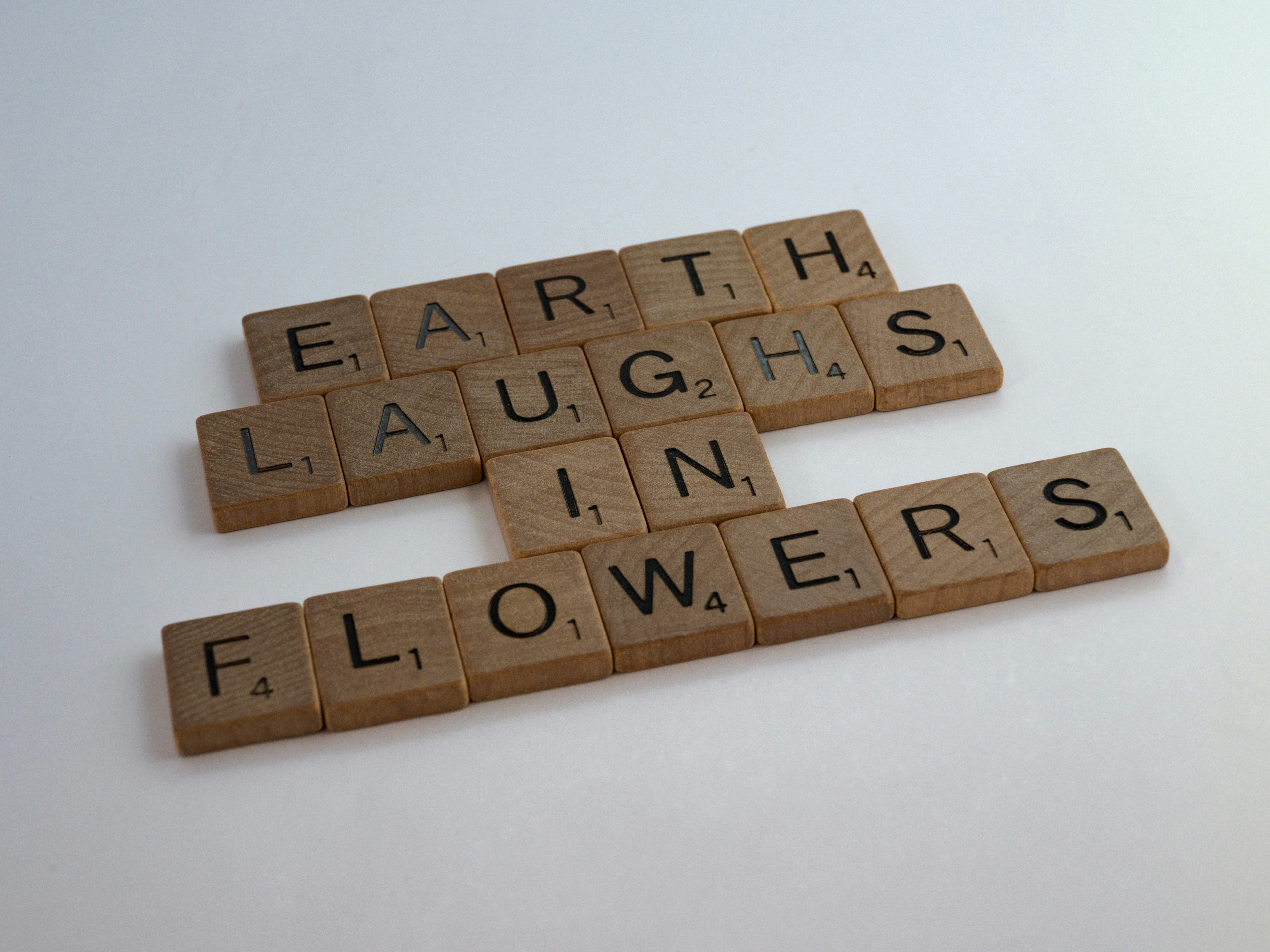 Funny Grinch Quotes That'll Make You Laugh and Melt Hearts