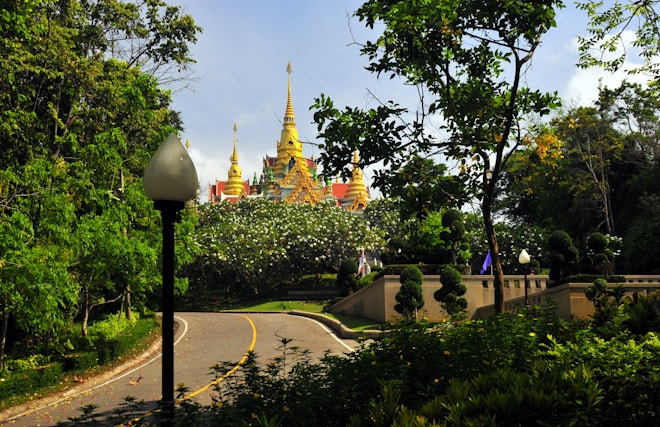 A winding road leads through lush green foliage towards a majestic temple with golden spires in the background. The temple is partially obscured by trees and flowering bushes. Ornamental lampposts line the road, adding to the tranquil and serene atmosphere.
