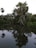 A serene view of the eco-park at Caribebio.