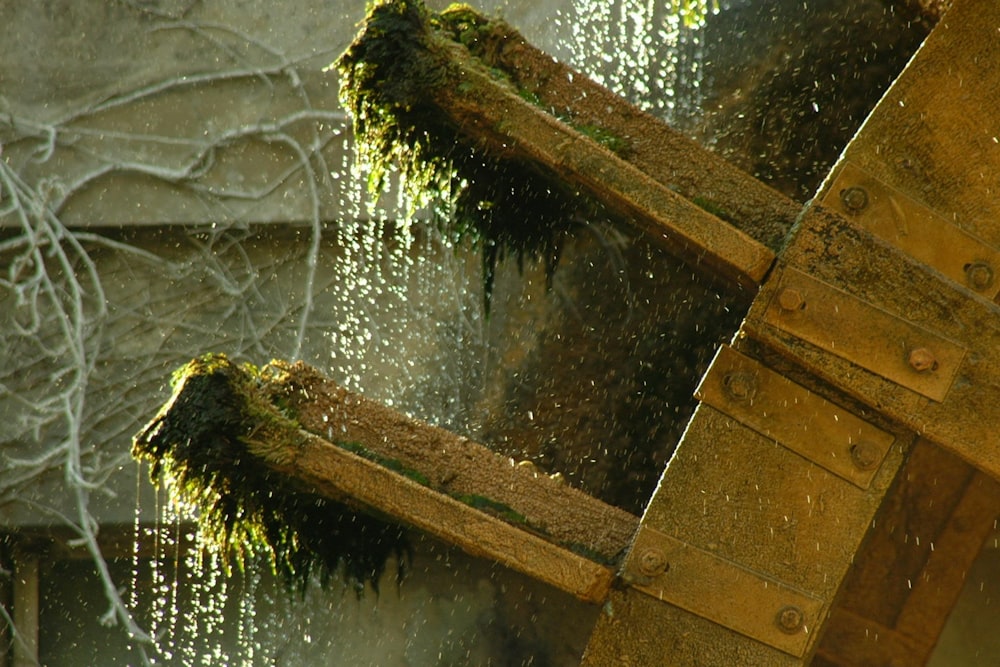 brown wooden fence near body of water during daytime