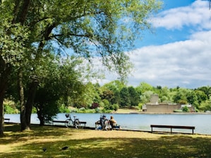 people sitting on bench near body of water during daytime