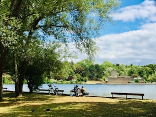people sitting on bench near body of water during daytime