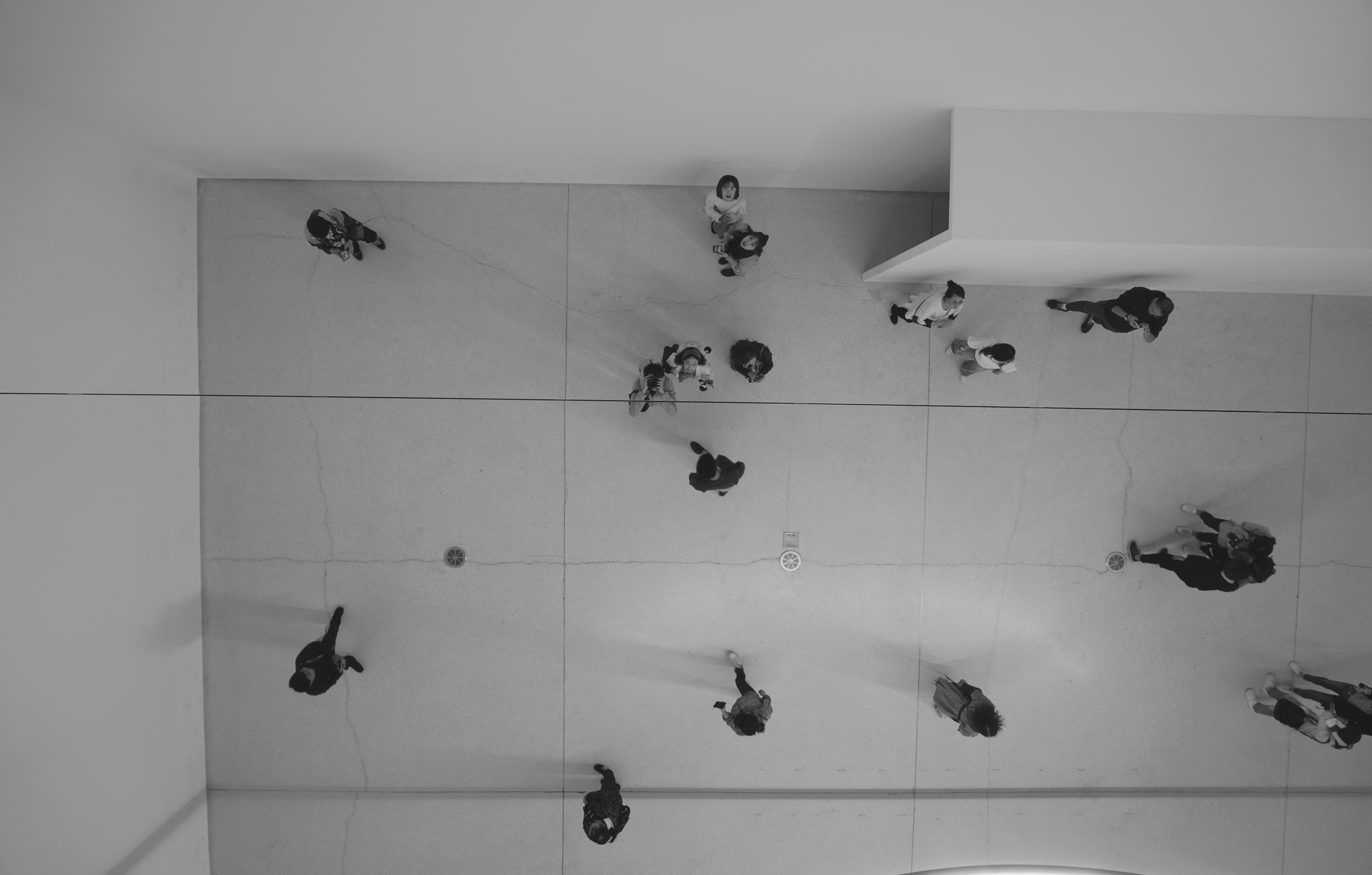 Abu Dhabi Falcon Hospital photo 2