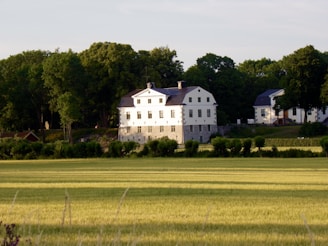 A large, white building with multiple windows and a dark roof is situated in a rural area, surrounded by lush green trees. The foreground features a field with an expanse of grass or crops. Another house is visible nearby, partially obscured by trees.