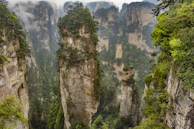 A serene view of Zhangjiajie’s towering sandstone pillars shrouded in mist.