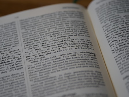 An open book with text displayed, featuring two visible pages. The text is printed in a serif font, with clear delineations between paragraphs and a focus on readability. The page numbers are located at the top corners of the pages.