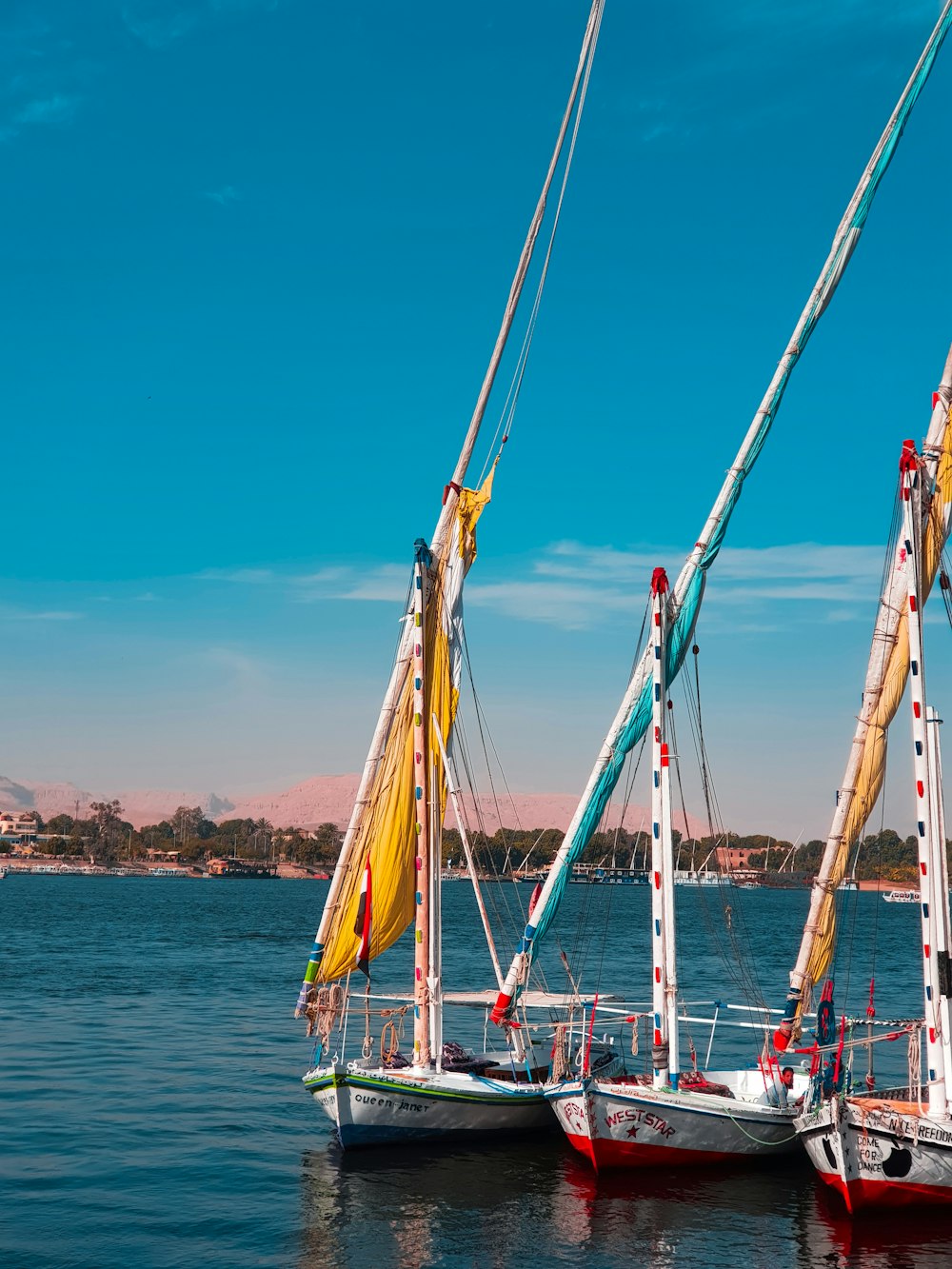 red and blue sail boat on sea during daytime