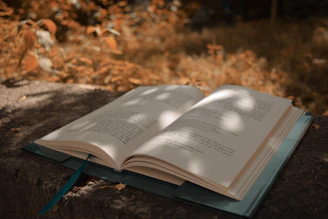 An open book resting on moss-covered stones, its pages glowing softly with ethereal light.