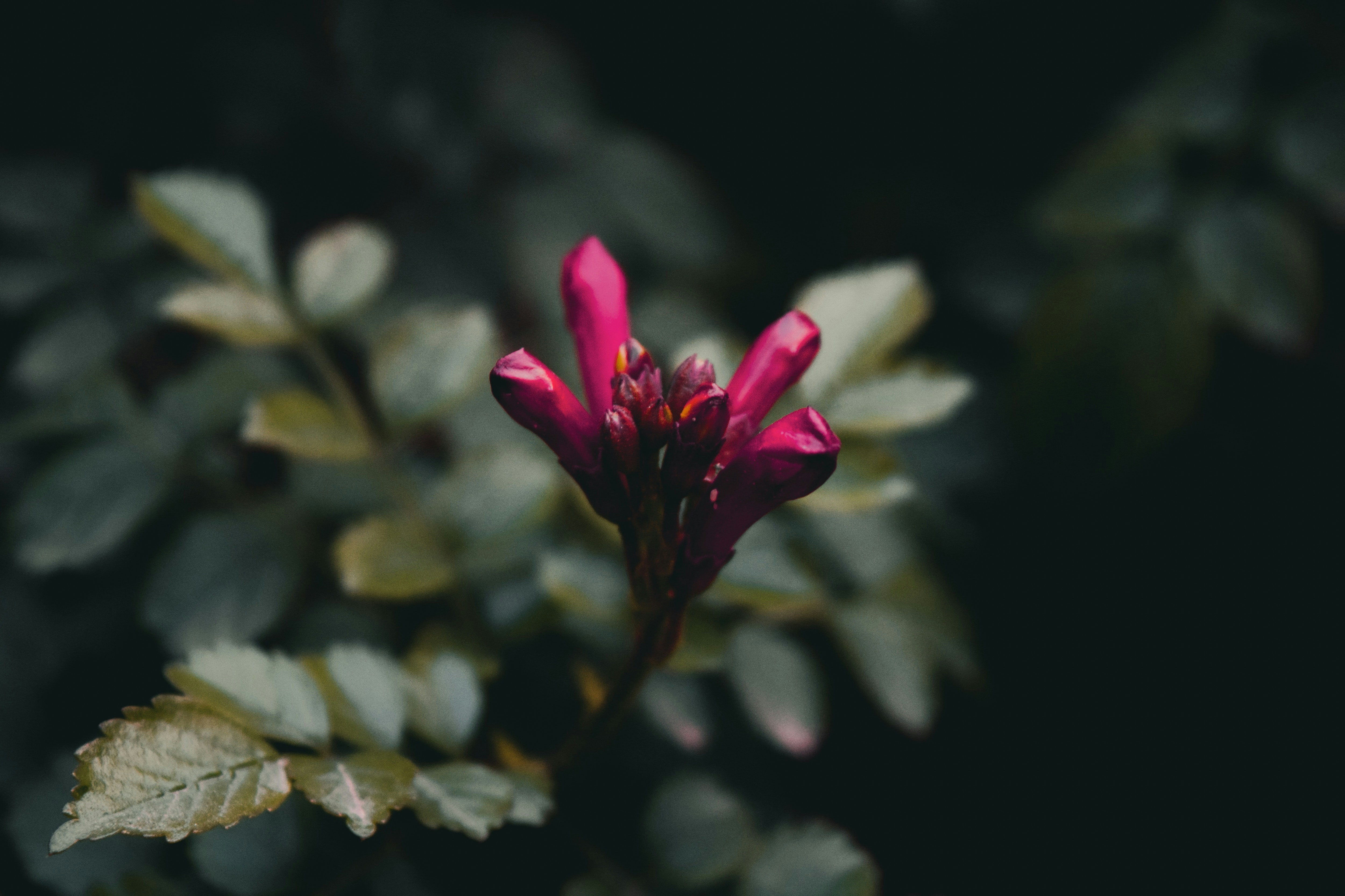 Photo by richasharma96