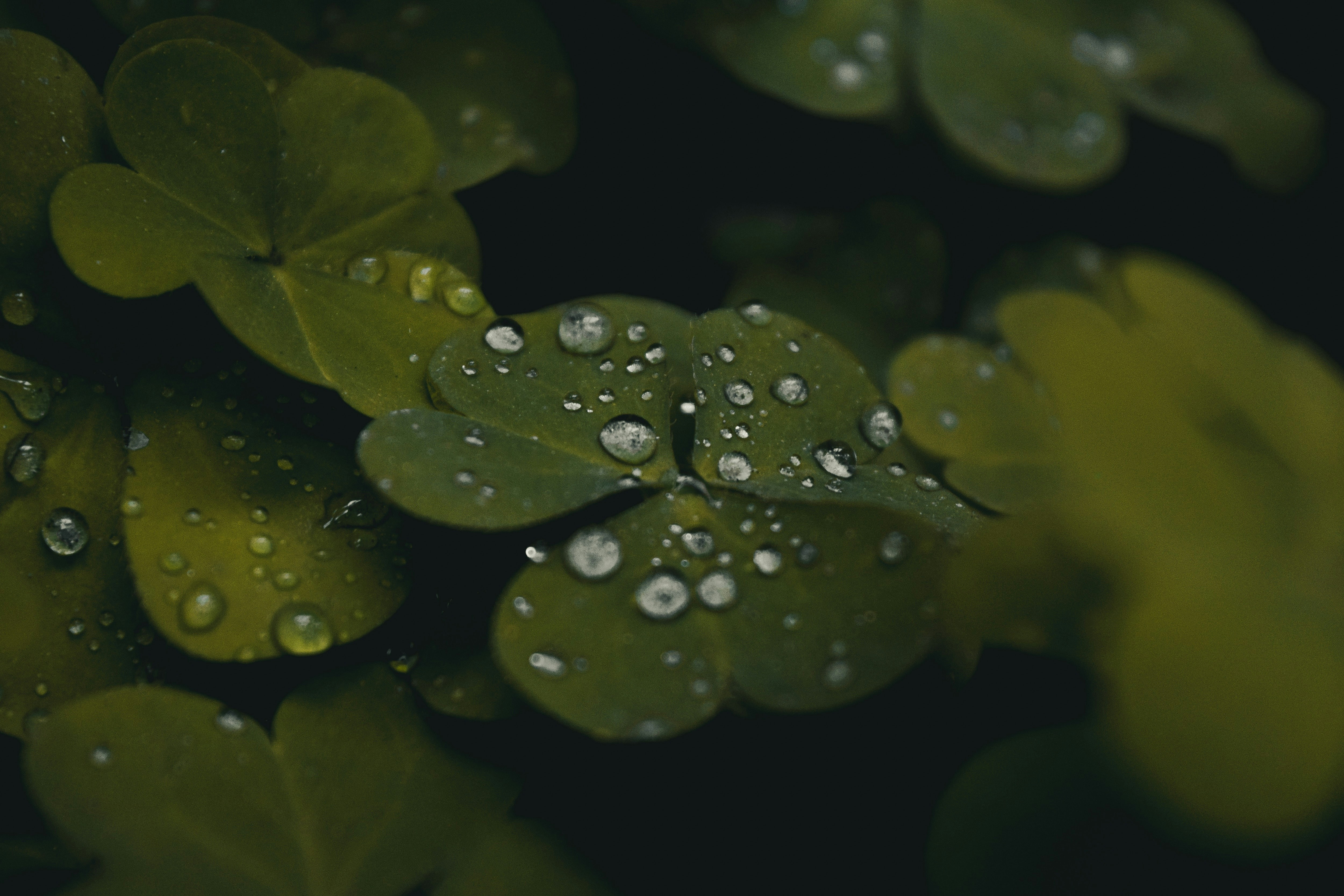 Photo by richasharma96