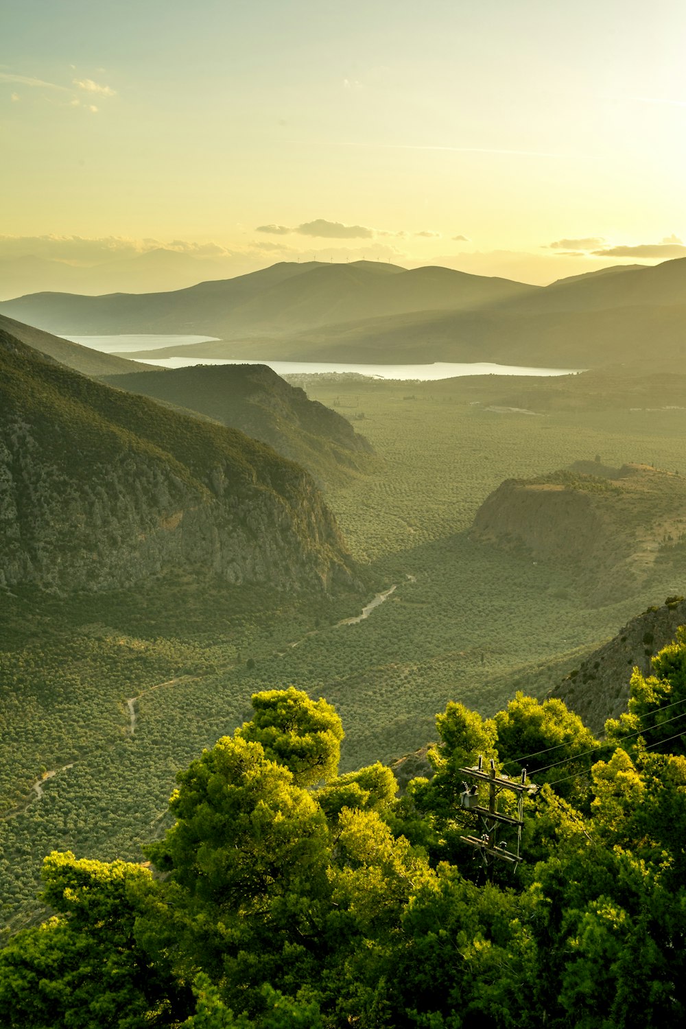 árvores verdes na montanha durante o dia