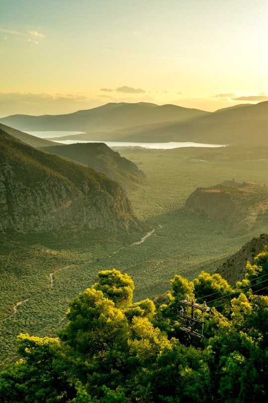 green trees on mountain during daytime in Delfi Greece