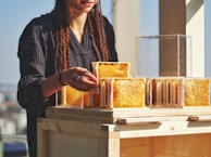 A person is handling honeycomb frames, with some of the combs appearing to be filled with honey. The frames are arranged on a wooden structure, and the person is wearing a dark, striped shirt.