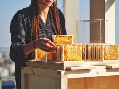 Artisan carefully extracting golden honeycomb from wooden frames in a rustic, sunlit workshop.