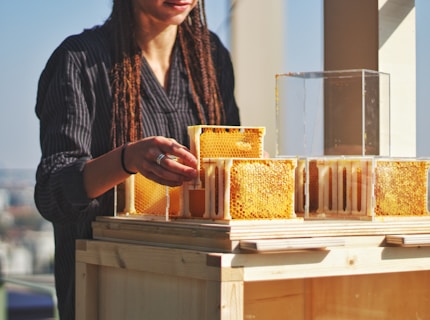A person is handling honeycomb frames, with some of the combs appearing to be filled with honey. The frames are arranged on a wooden structure, and the person is wearing a dark, striped shirt.