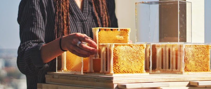 man in brown and black plaid dress shirt holding yellow and white cake