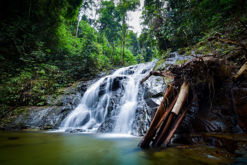 water falls in the middle of green trees