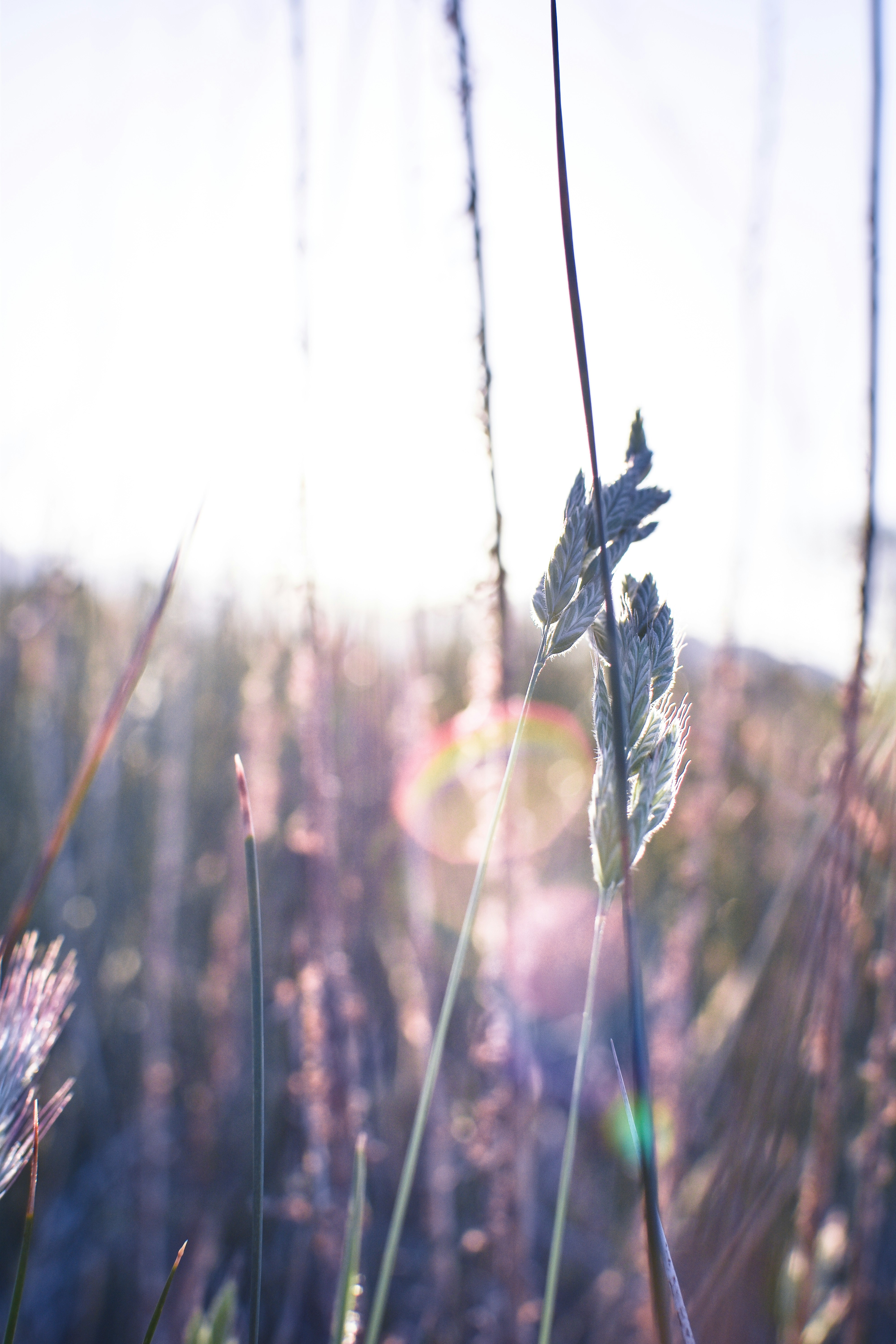 Photo by pixbyhelena