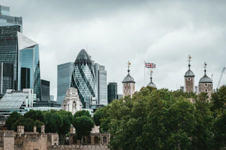 green trees near city buildings during daytime