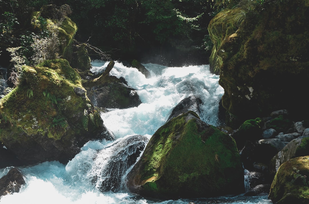 Waterfall photo spot Lake Marian Track Southland