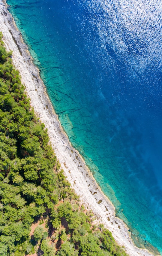 aerial view of green trees beside body of water during daytime in Pula Croatia