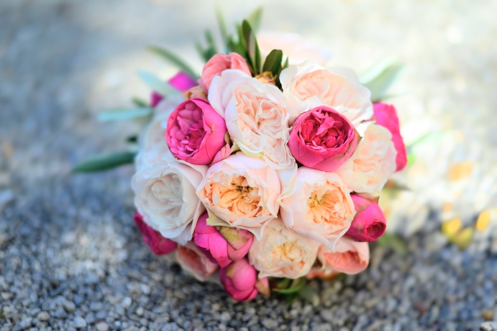 pink roses on gray textile