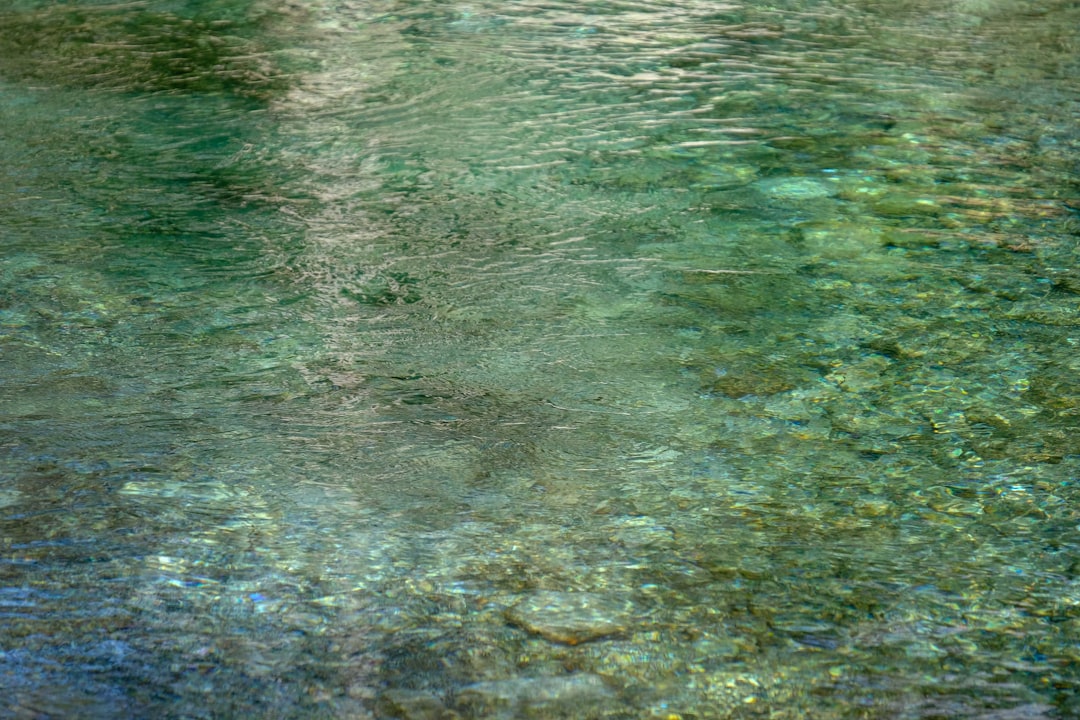 green and white water during daytime