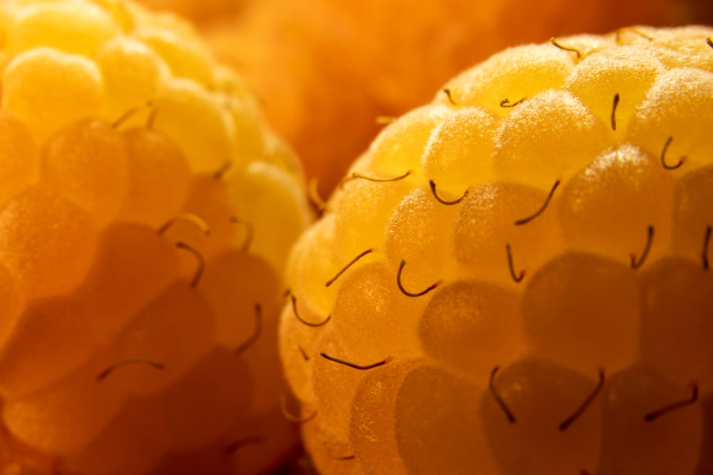 balle en caoutchouc jaune dans la photographie en gros plan