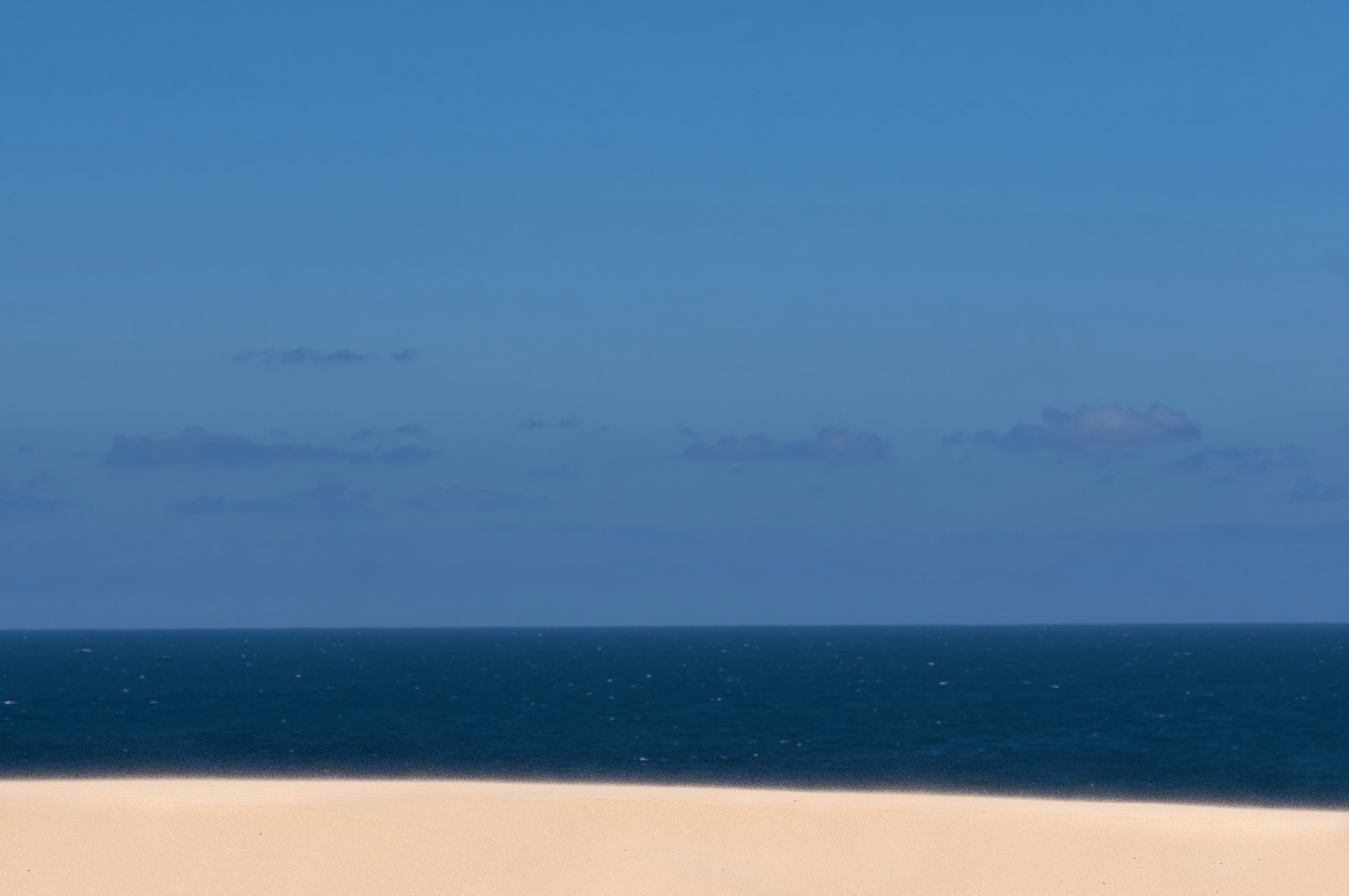 Photo by wolfgang_hasselmann