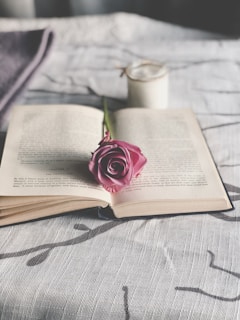 pink rose on white book page