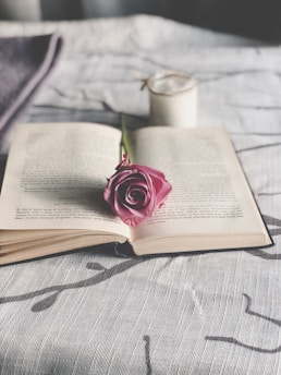 pink rose on white book page