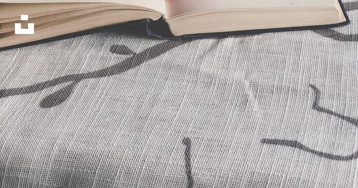 Rosa Rose auf weißer Buchseite Foto Kostenloses Bild zum Thema Buch