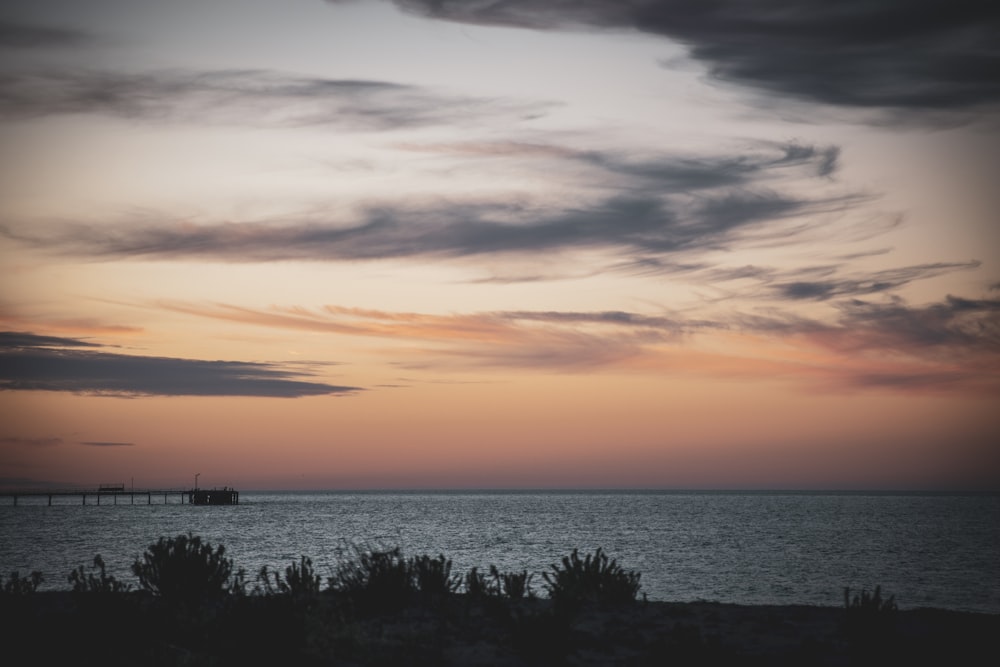 silhouette of trees near body of water during sunset