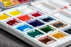 white blue green and red plastic toy