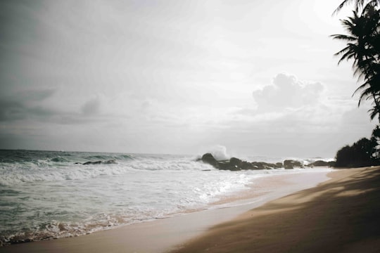 ocean waves crashing on shore during daytime in Hikkaduwa Sri Lanka