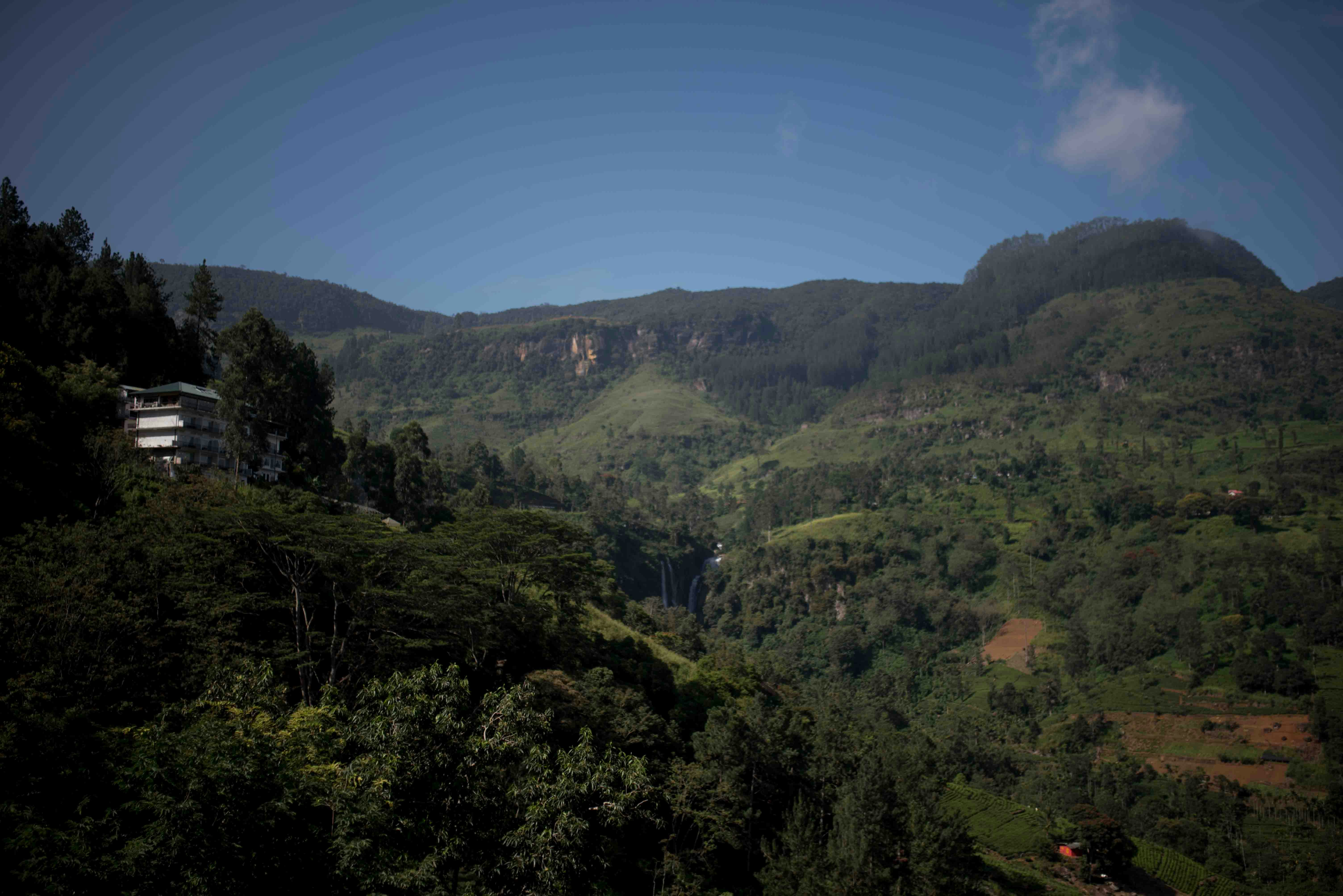 green trees on mountain under blue sky during daytime