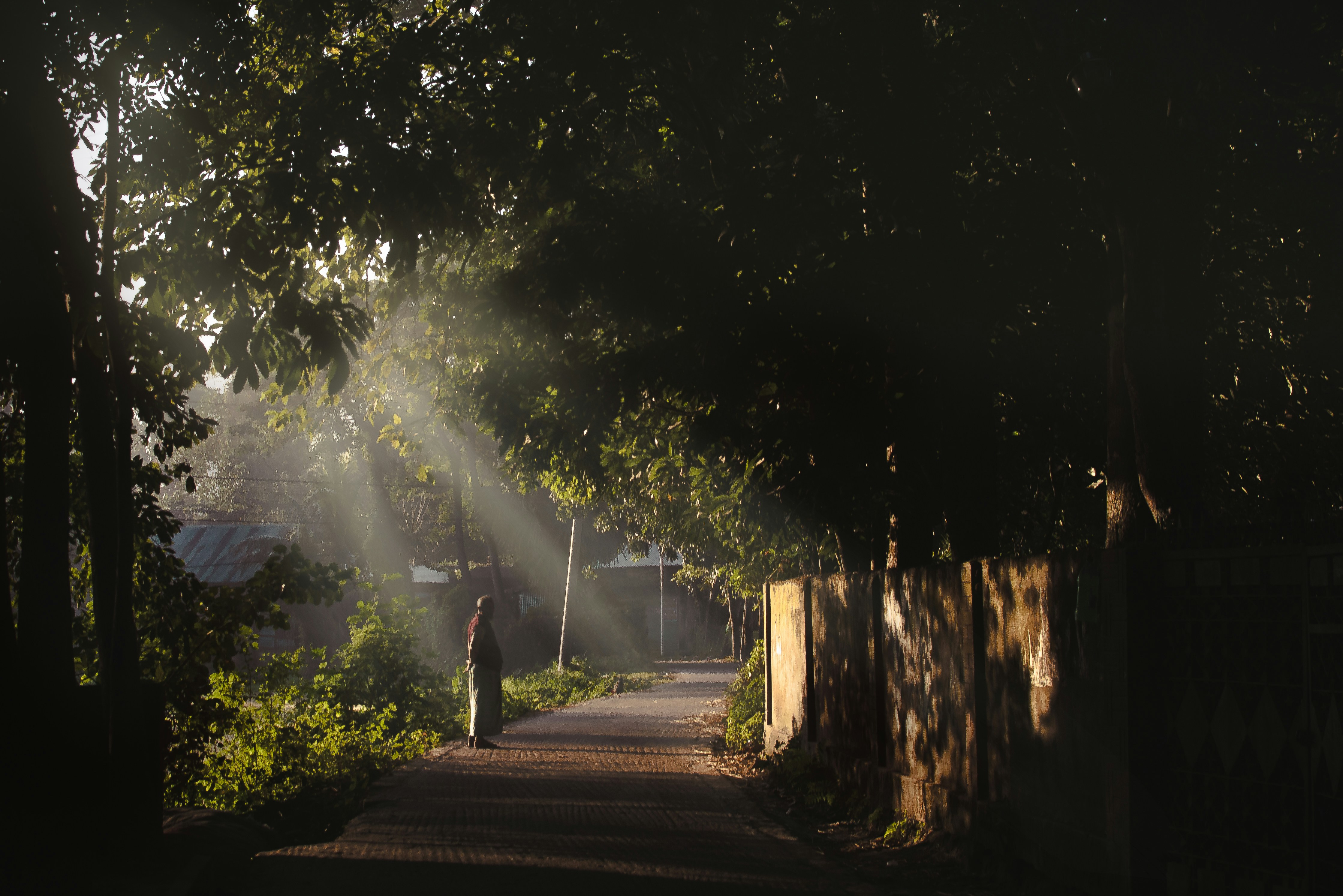 Photo by nishaan_ahmed